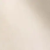 24133509 - PERLA